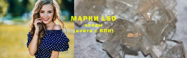 прущие крисы Верея