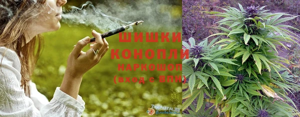 прущие крисы Верея