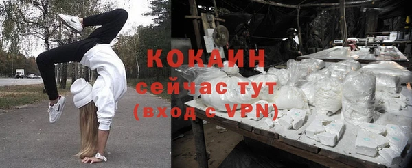 прущие крисы Верея