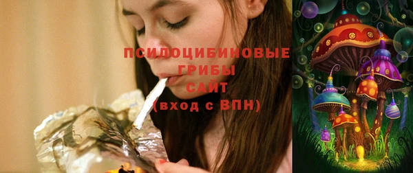 прущие крисы Верея
